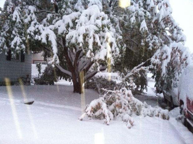 Winter Storm Atlas